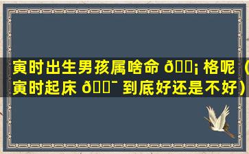 寅时出生男孩属啥命 🐡 格呢（寅时起床 🐯 到底好还是不好）